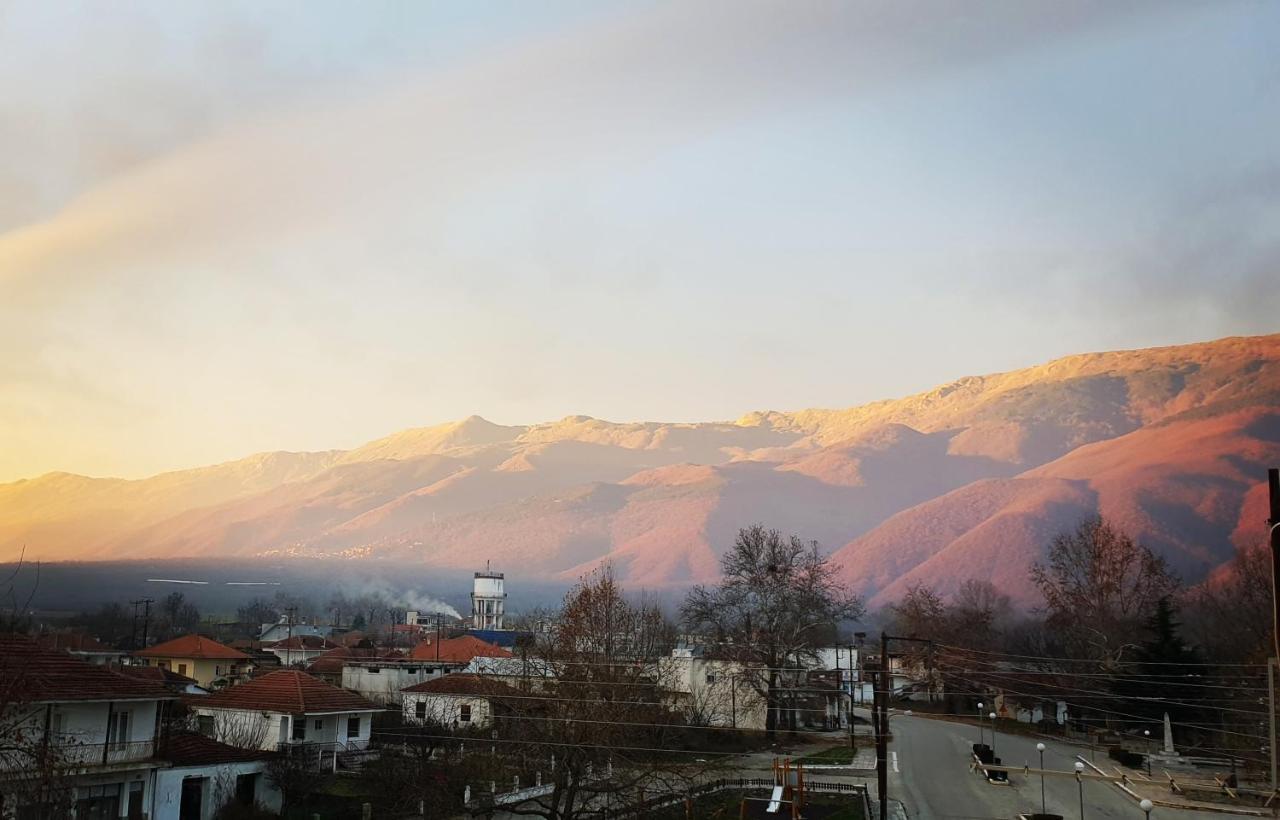 Apartment Skyview Kerkini